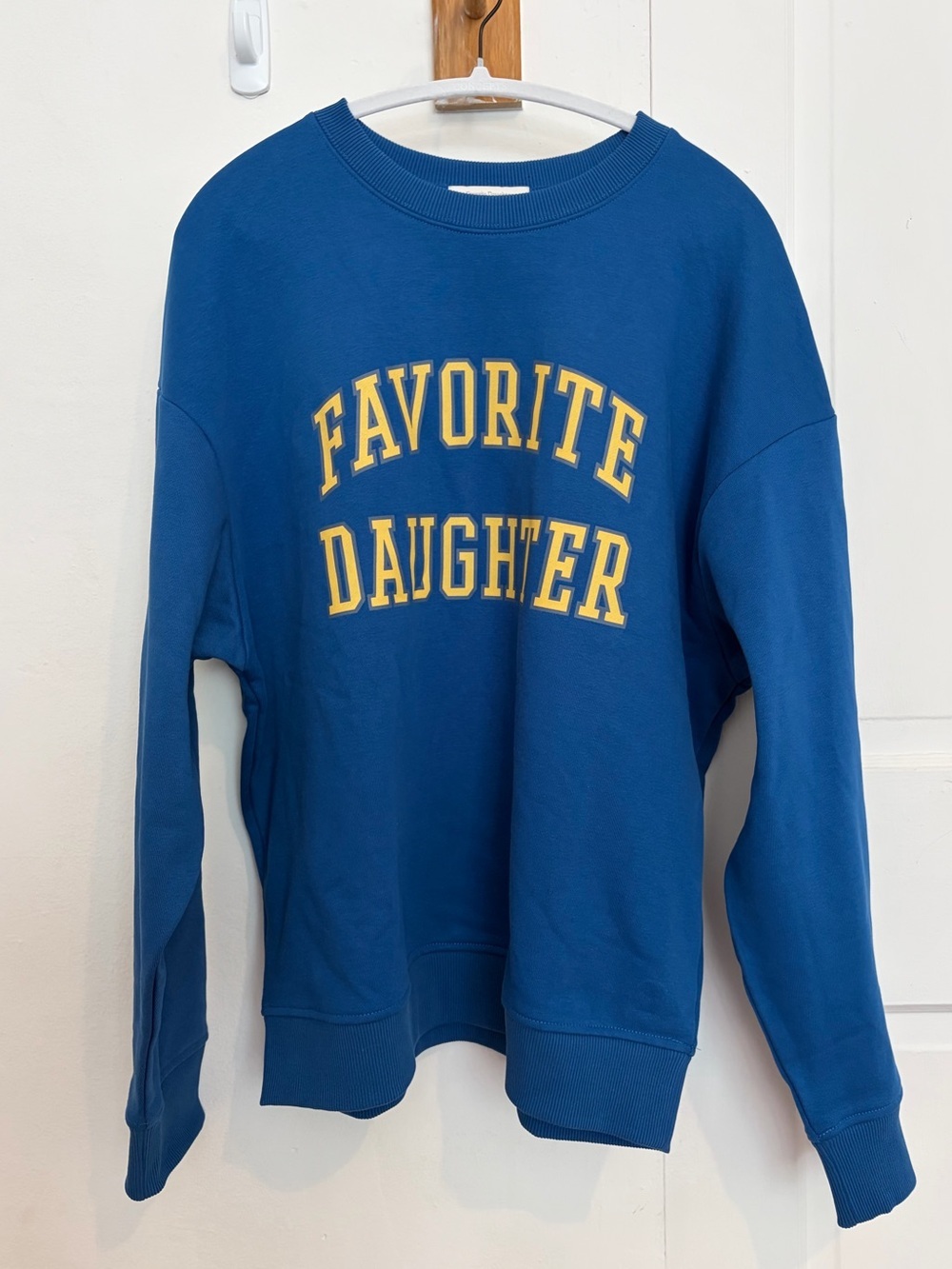 Favorite Daughter Oversized Sweatshirt | Sapphire S (sold out) - Picture 4 of 15